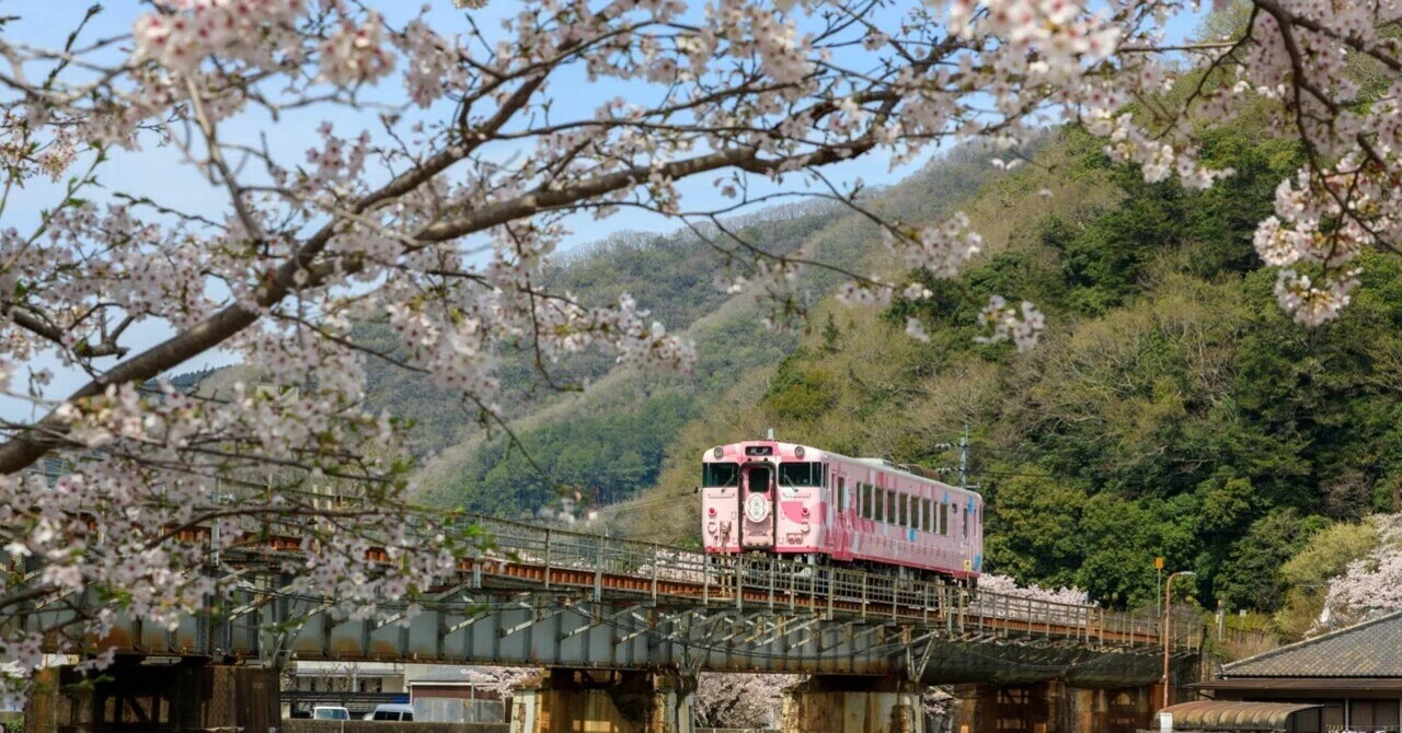 撮影記】津山線と桜｜なべなべ