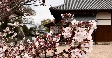 南白江藤新平実伝(全一巻) 天誅と新選組 | 新書マップ4D