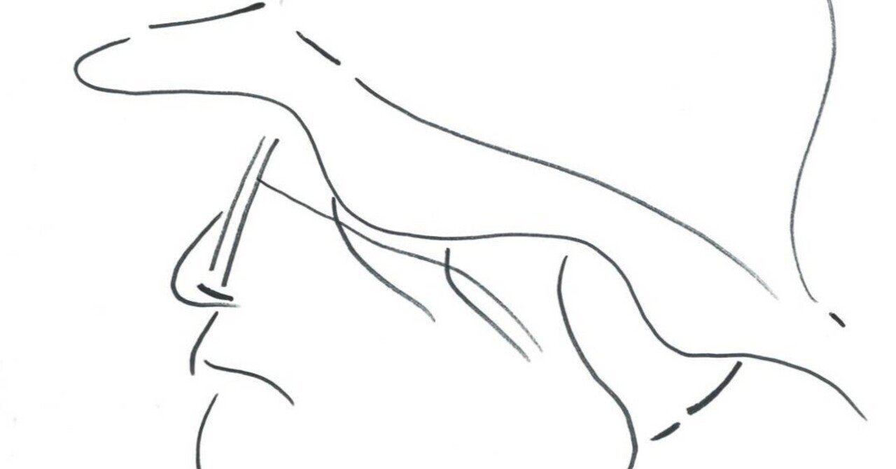 東京の鱒釣り｜鈴木眼鏡(Megane Suzuki)