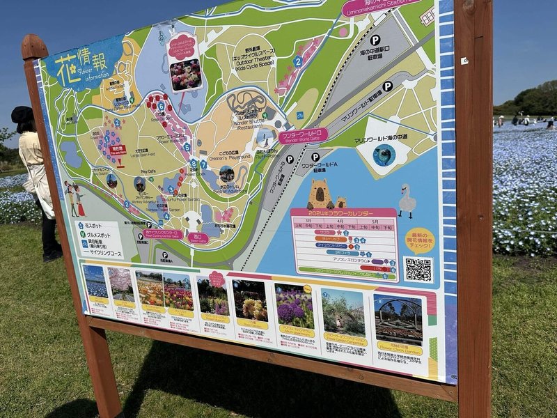 海の中道海浜公園の園内マップの写真