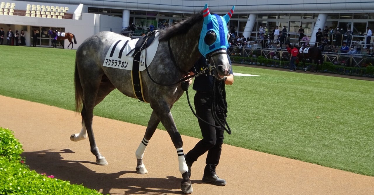 マケタラアカンよ｜サイレンスキャット