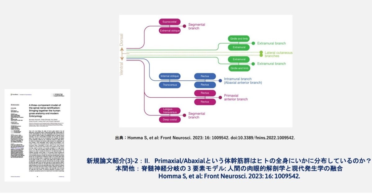 神経局在診断 改訂第5版 Amazon.co.jp: 神経局在診断 : 花北 順哉: 本