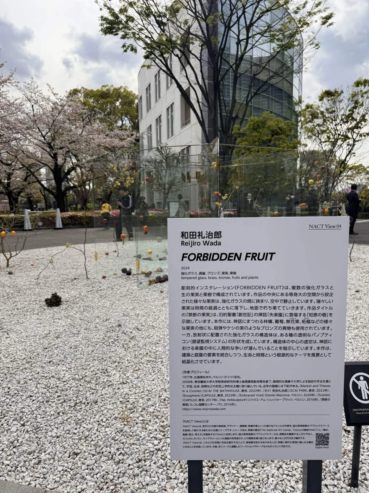 南仏へ行ってみたくなる、最新のマティス展｜ヨーコJAPAN