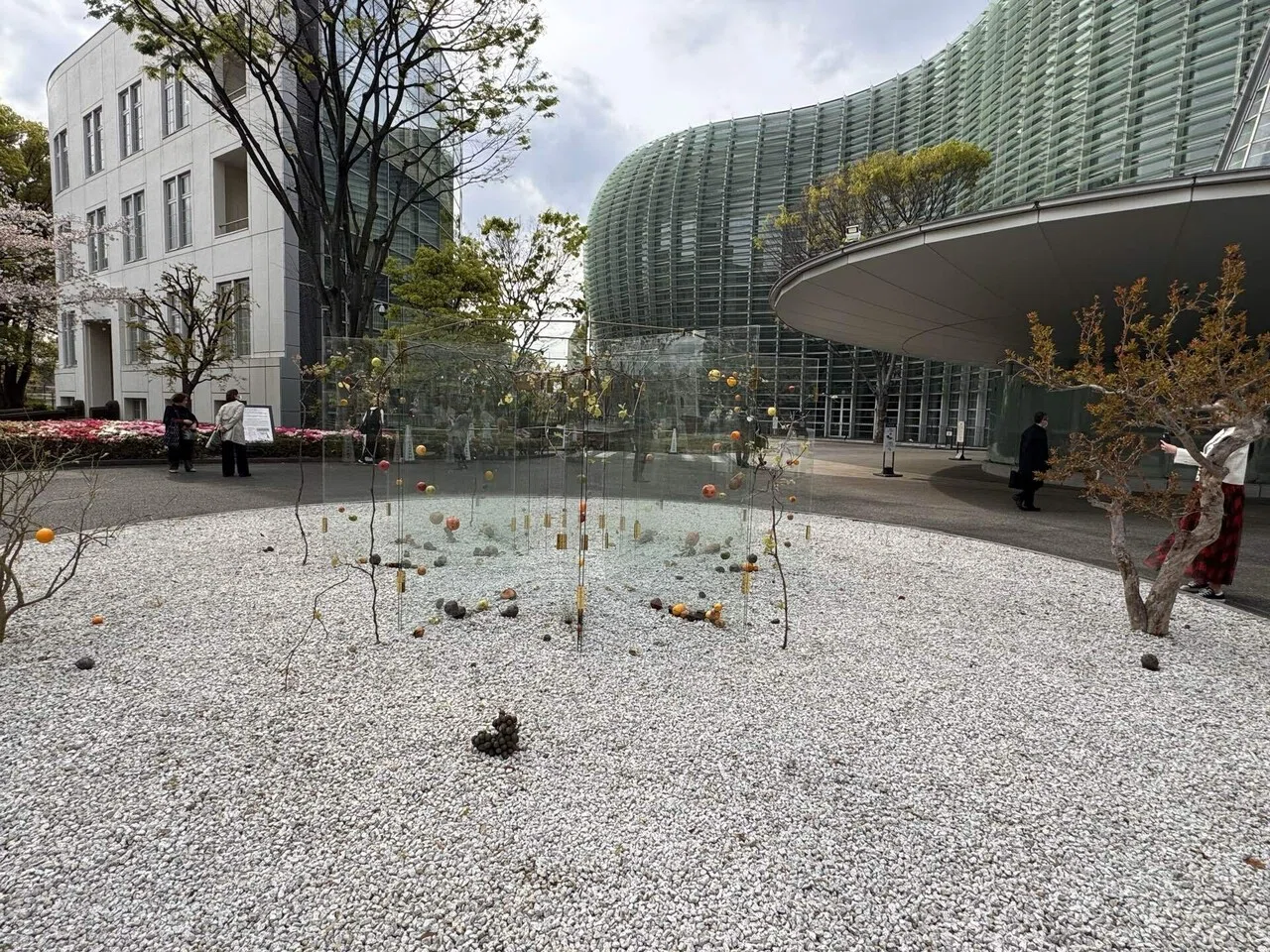 南仏へ行ってみたくなる、最新のマティス展｜ヨーコJAPAN