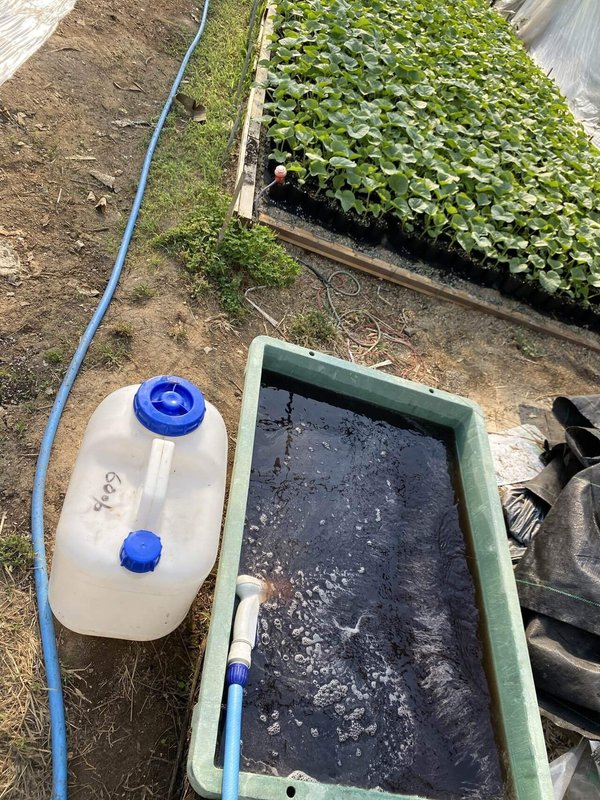 古田メロン2024出陣