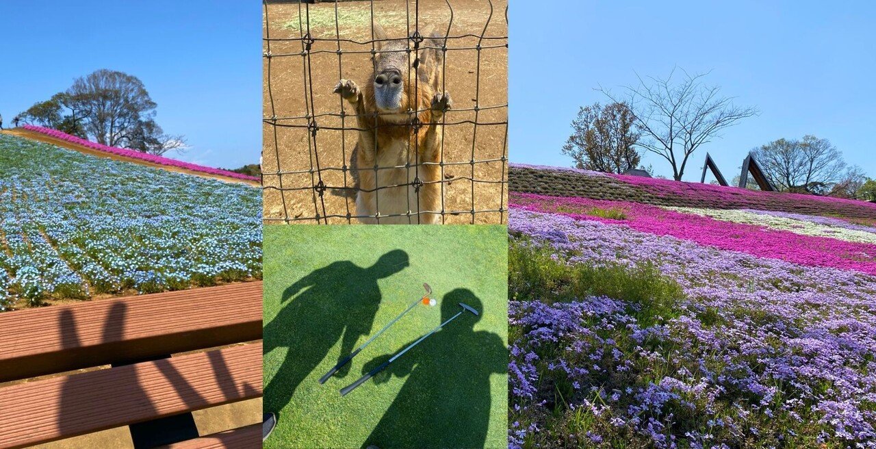 note神社仏閣クイズ__8_