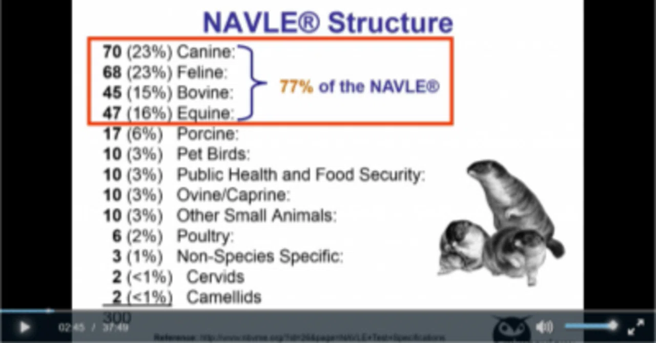 Navle Histogram 北米獣医師免許試験・備忘録73、NAVLE Structure|Yuzu: Vet in Canada