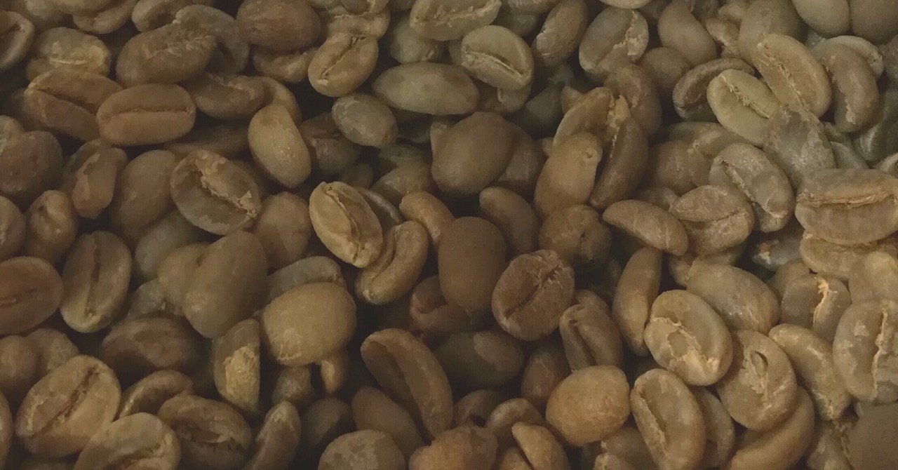 珈琲まめ知識＞S795と名付けられた豆の話｜ゆてみ