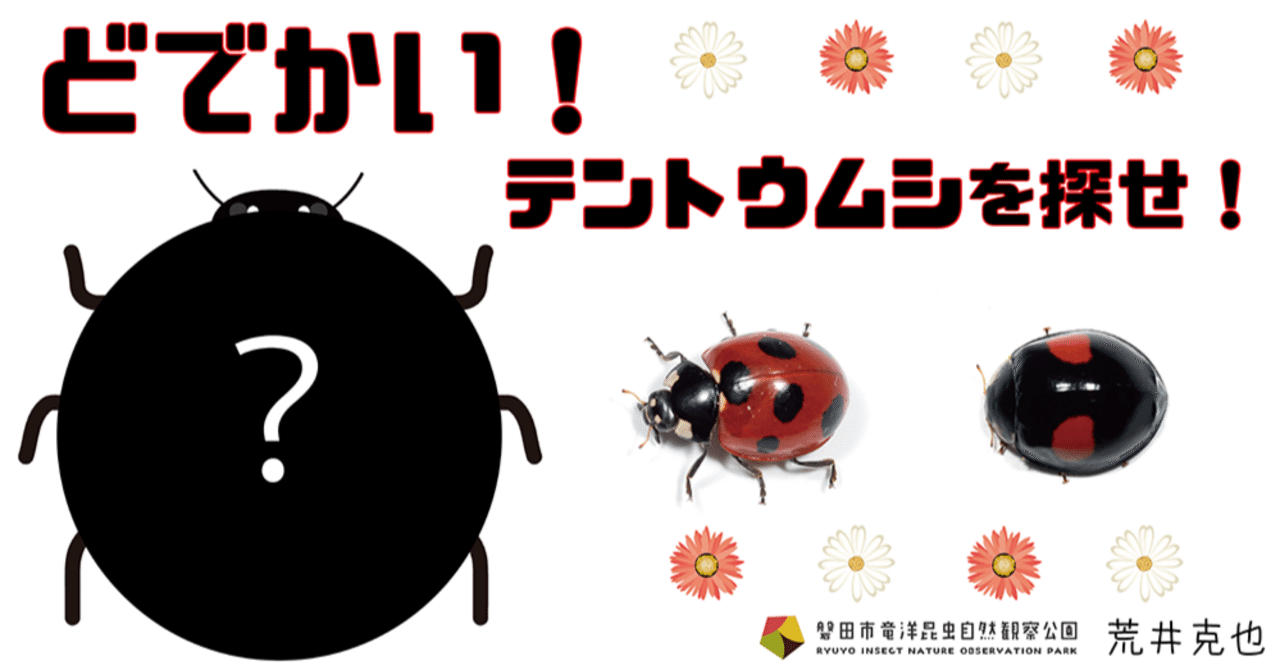 巨大テントウムシを探せ！｜竜洋昆虫自然観察公園