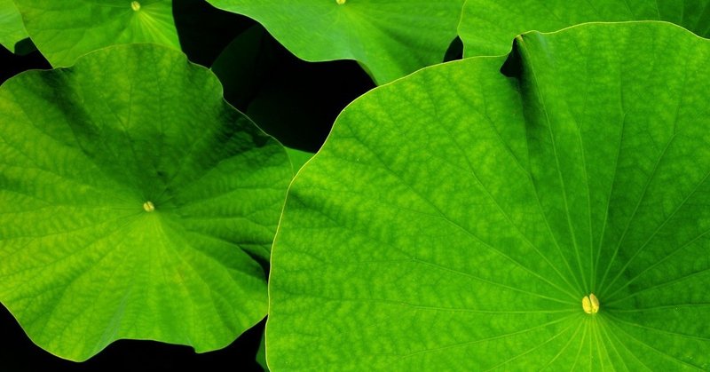 七つの殺人に関する簡潔な記録 の新着タグ記事一覧 Note つくる つながる とどける