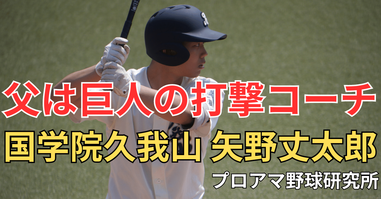 中日ドラゴンズ 細川成也 選手 実使用 バット 支給品 野球 NPB DeNA