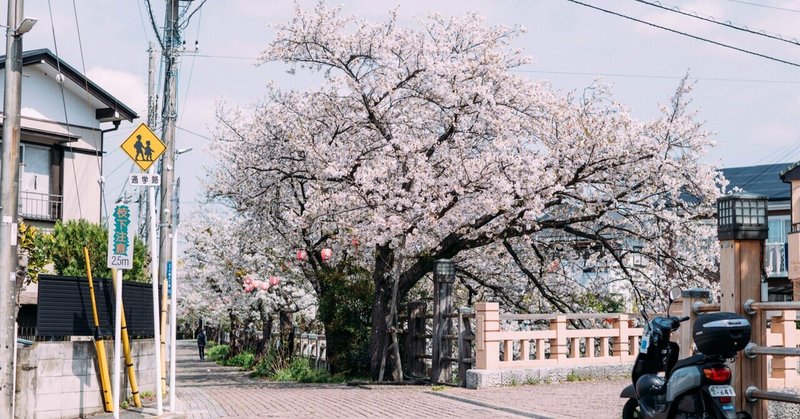 GRスナップ vol.36 桜の季節はまだ続く