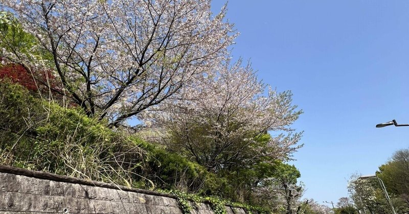 リベンジは来春に