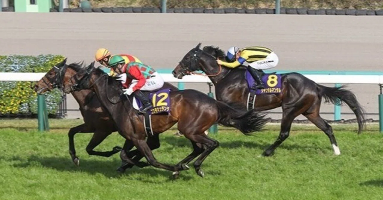 【皐月賞（G1）回顧～その先へ】日刊コンピ篇｜Haya
