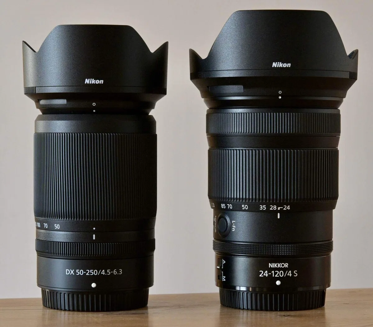 旅行用望遠レンズとしてのDX 50-250mm｜ちーちゃーん