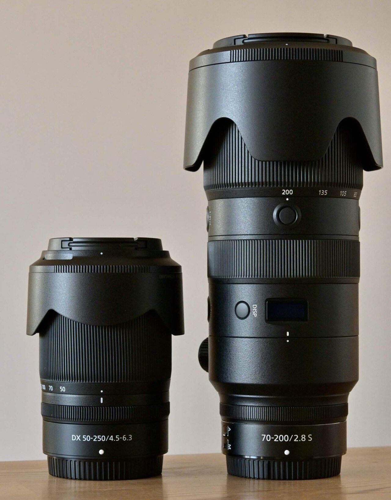 旅行用望遠レンズとしてのDX 50-250mm|ちーちゃーん 旅行用望遠レンズとしてのDX 50-250mm|ちーちゃーん