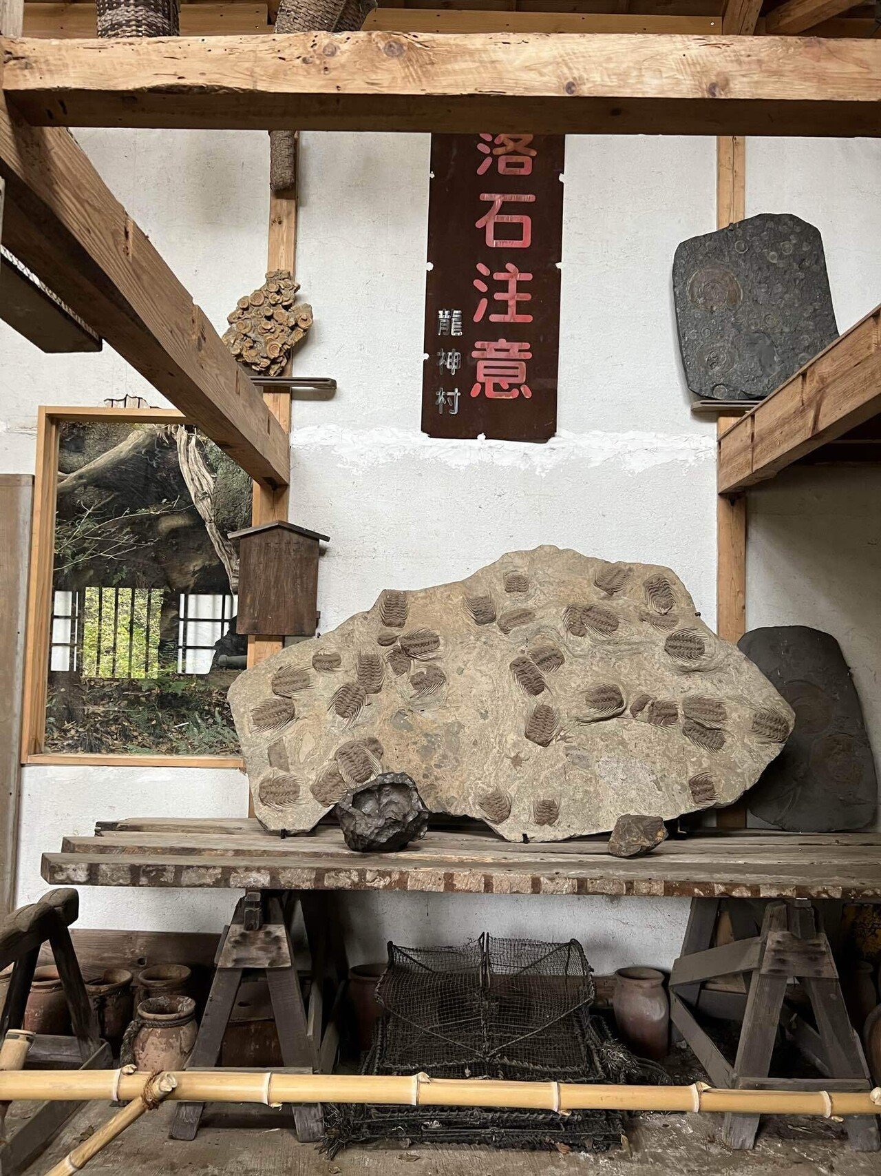 屋外型美術館・江之浦測候所|yuukee 屋外型美術館・江之浦測候所|yuukee