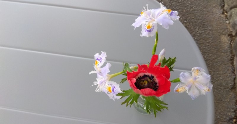 風と植物を感じる季節