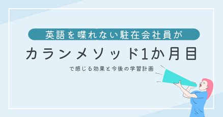 カランメソッド　1-6セット カランメソッドの各レベルはどのくらい？ステージ1〜12まで徹底