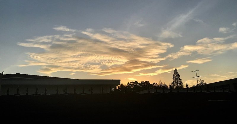 本当に自分のことを ブサイク だと思っている人は 自分で自分のことを ブサイク だとは言わない にっしー kosuke nishii note