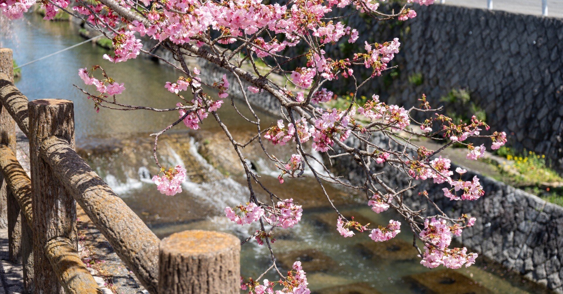 b5eb9c855864039e0bc021489c3152