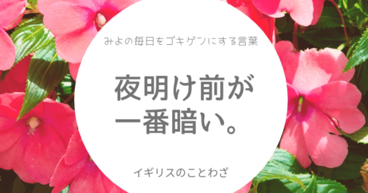 見出し画像
