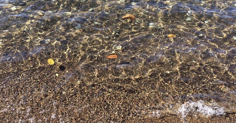 三熊野の浦の浜木綿百重なす心は思えど直に逢わぬかも　柿本人麻呂