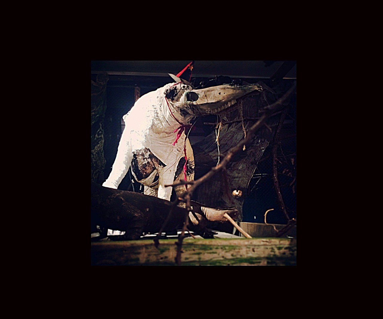 51a00443220438d963722a27669e40