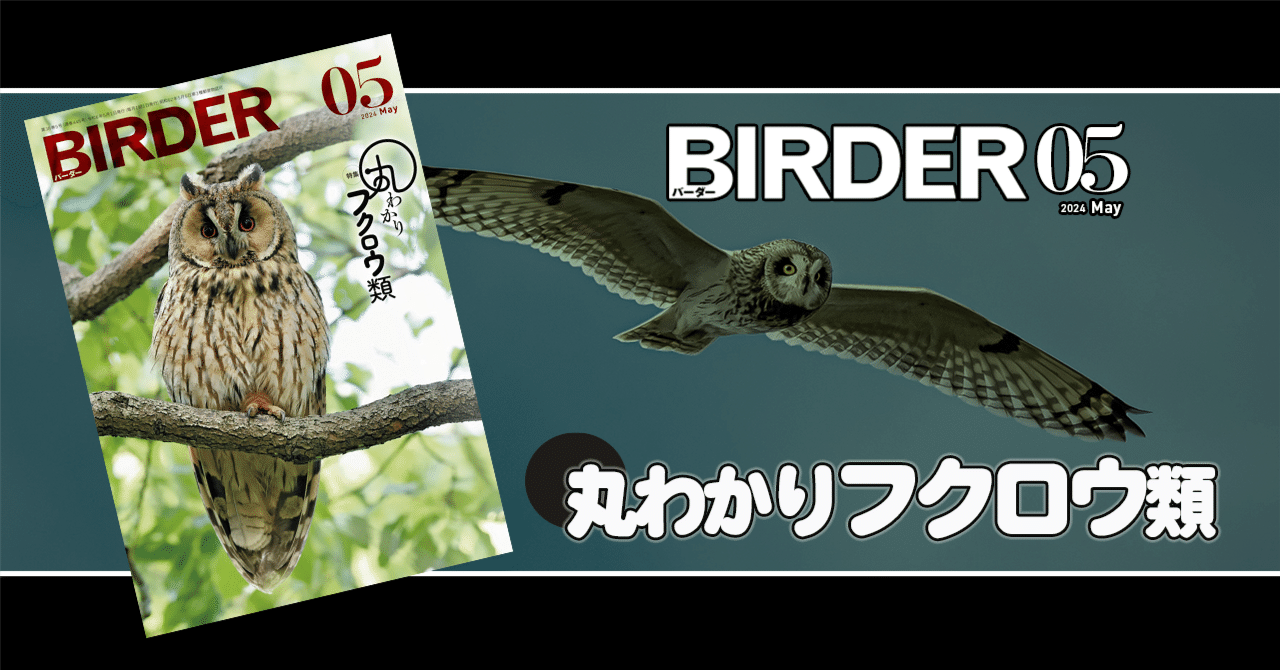 先生、アオダイショウがモモンガ家族に迫っています! (鳥取環境
