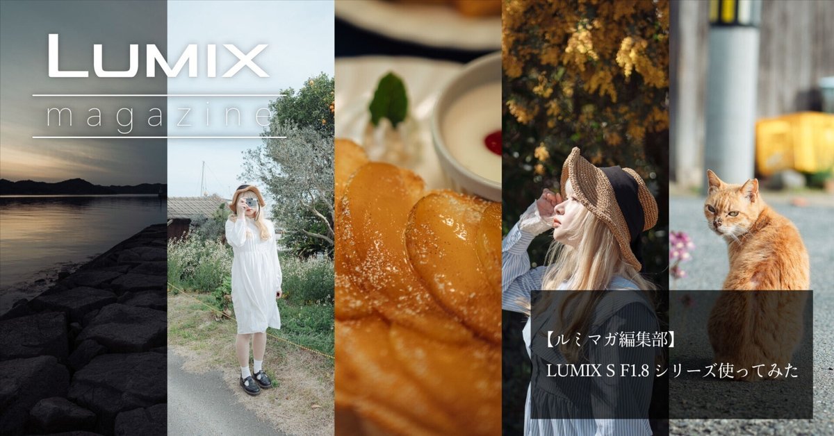 【作例あり】LUMIX 50mm F1.8 LUMIX S 50mm F1.8【Photo Journey #07】｜LUMIX Lens Letters