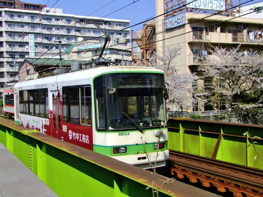 桜と都電荒川線 高田橋 |popodoll