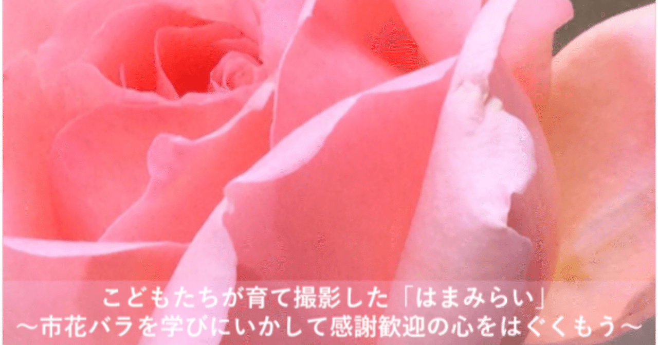 横浜市花「バラ」を育て、感謝と歓迎の気持ちを伝え合う文化を育みたい