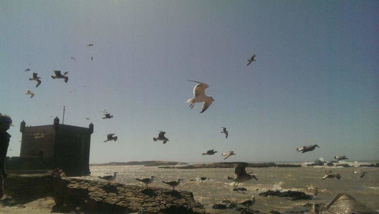 恋愛下手から 恋愛上手になるための極意 Gari Balkup Note