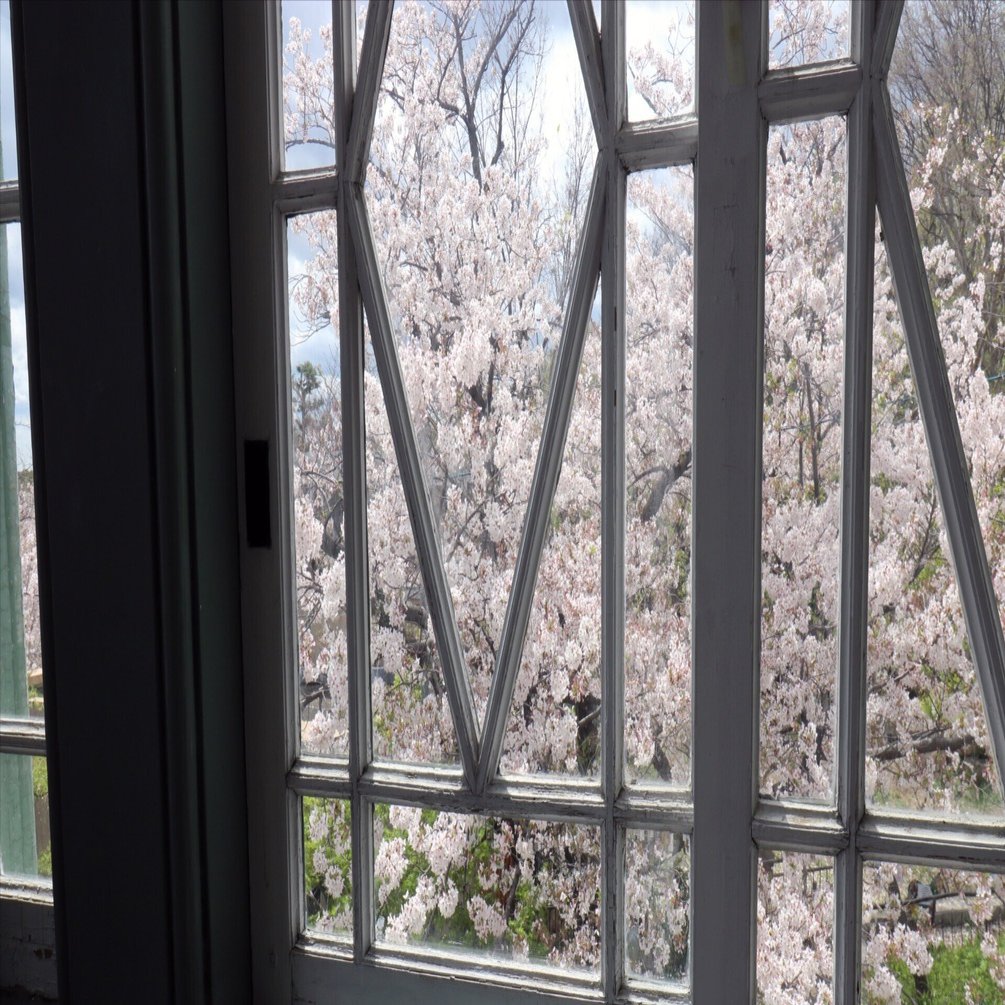 リリタン様 ご相談ページ リリタン様 ご相談ページ キャラクター｜Z/X