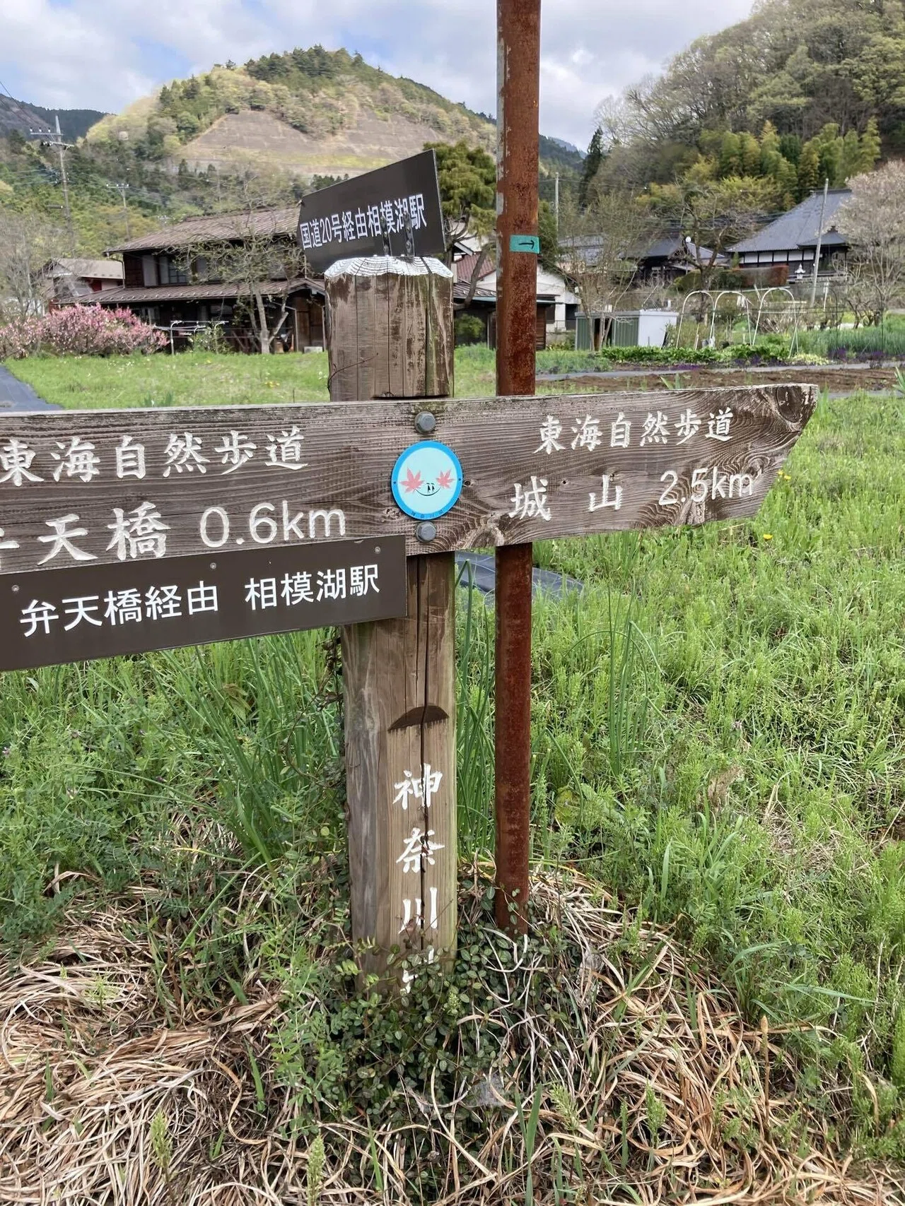 5山目］山頂の茶屋で山菜天ぷら&ビールが楽しめる最高過ぎる山、それが