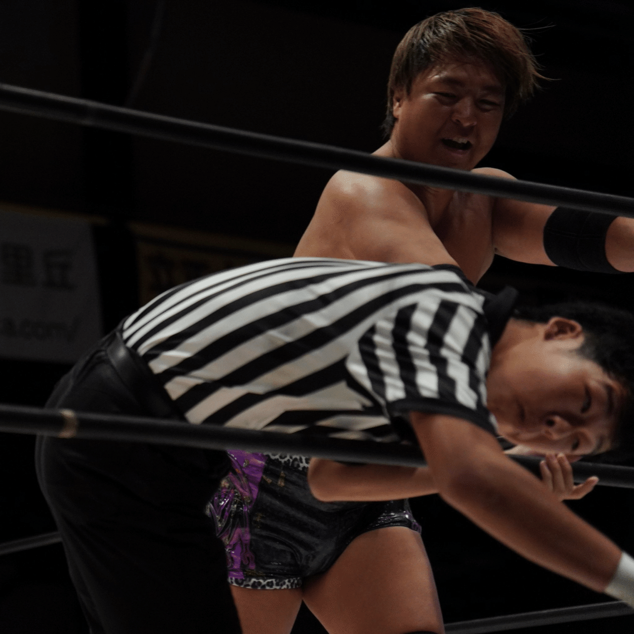 プロレス ビリー・ライレー 出場 プログラム 青春の影｜TORU