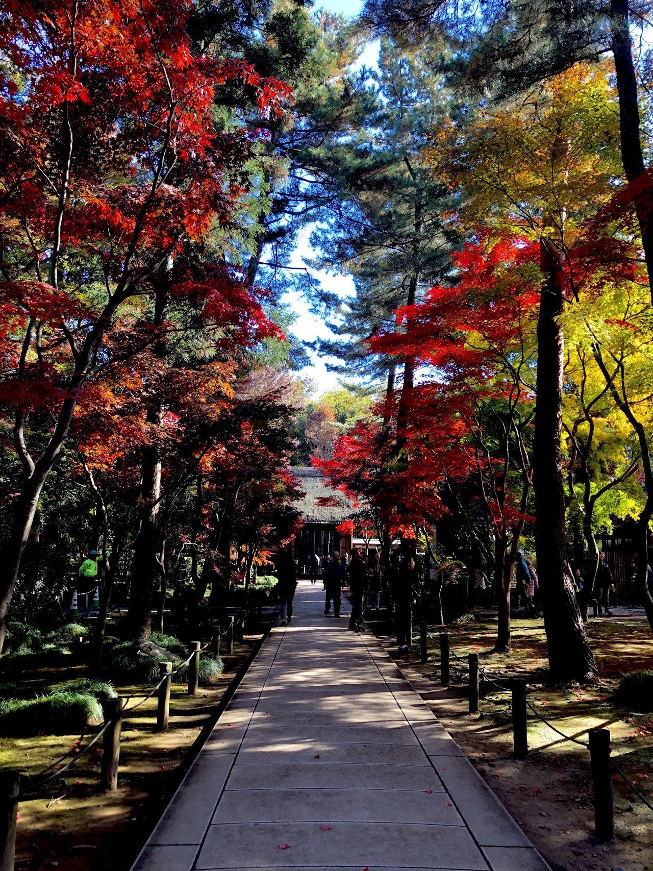 平林寺 埼玉県新座市 引又河岸太郎 Note 平林寺 埼玉県新座市 引又河岸太郎 Note