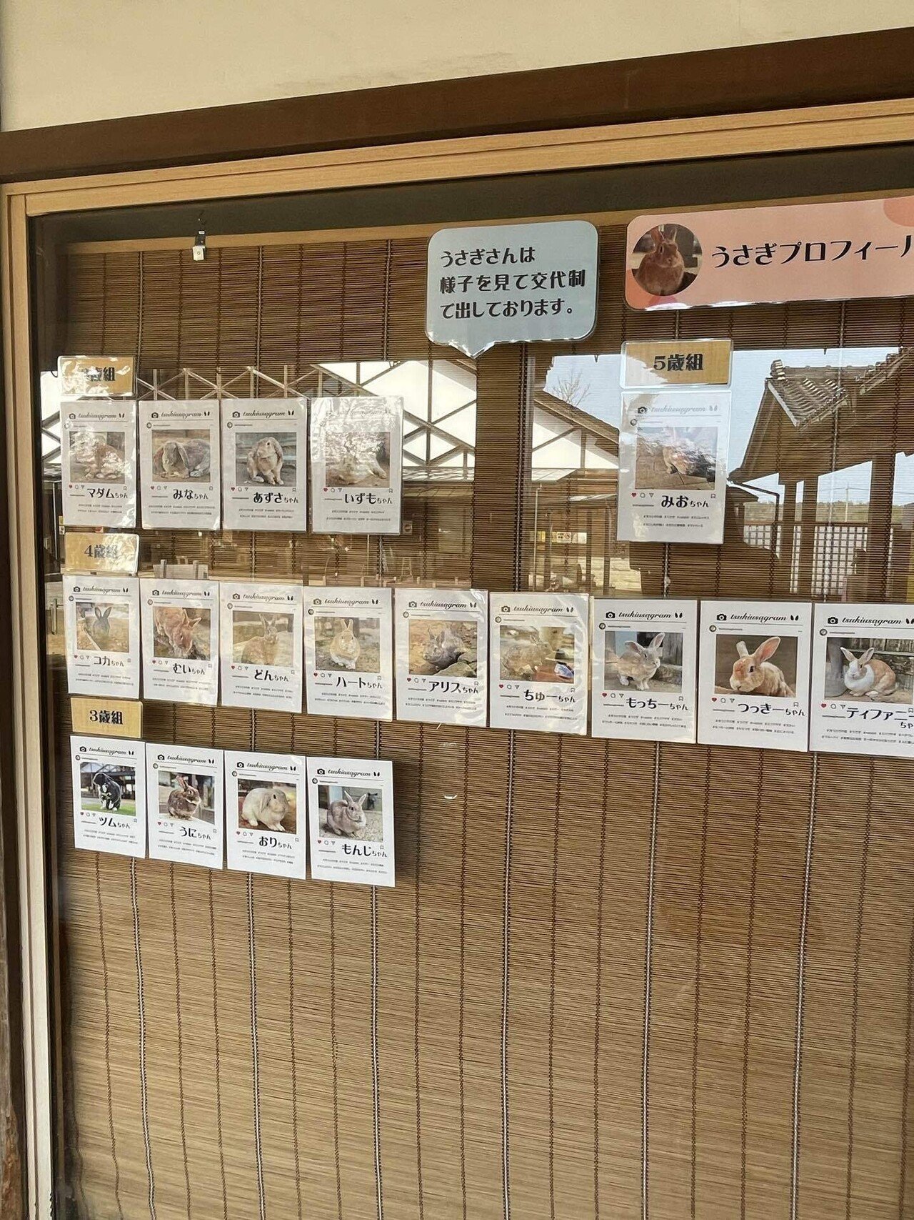 月うさぎの里』はうさぎ好きのための天国でした😇｜まもまも＠内向型