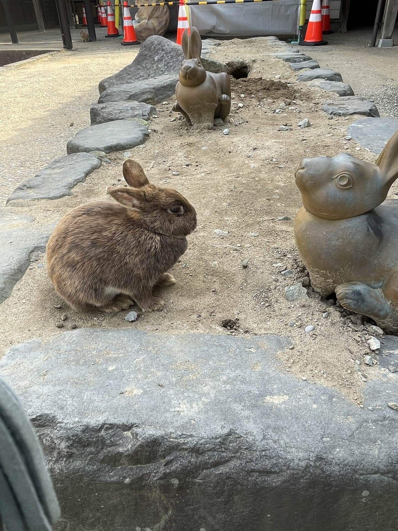 スキルスクリーン 月うさぎ 【完成品】 配信開始】すくすく育つ！うさ耳少女の放置系新作RPG『月ウサギ