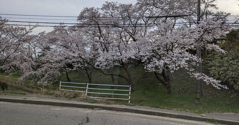 奥能登に笑顔の花が咲くのは何時か？