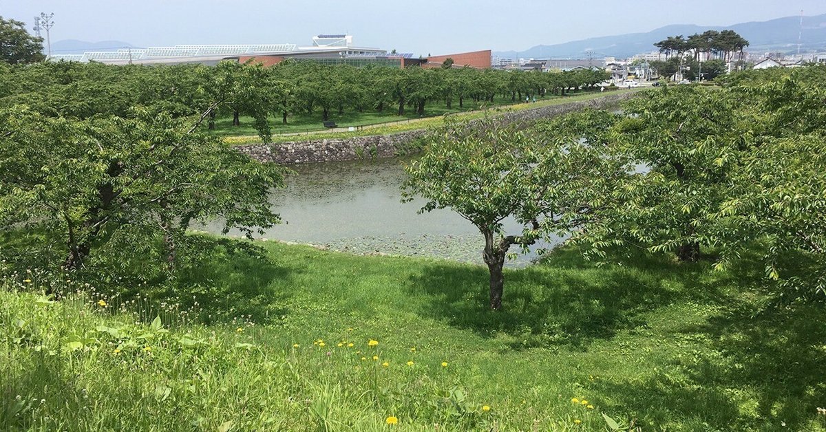 東野圭吾ミステリーズ 小さな故意の物語　DVD 三浦春馬 東野圭吾ミステリーズ vol.8 小さな故意の物語 (三浦春馬