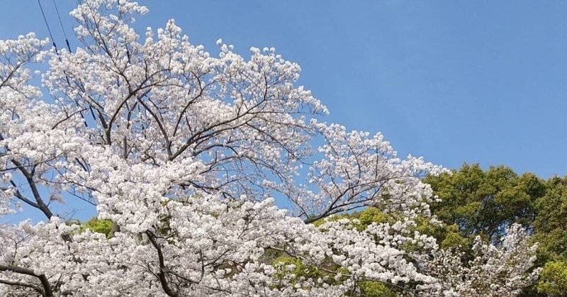 産後鬱にしなかった旦那の行動