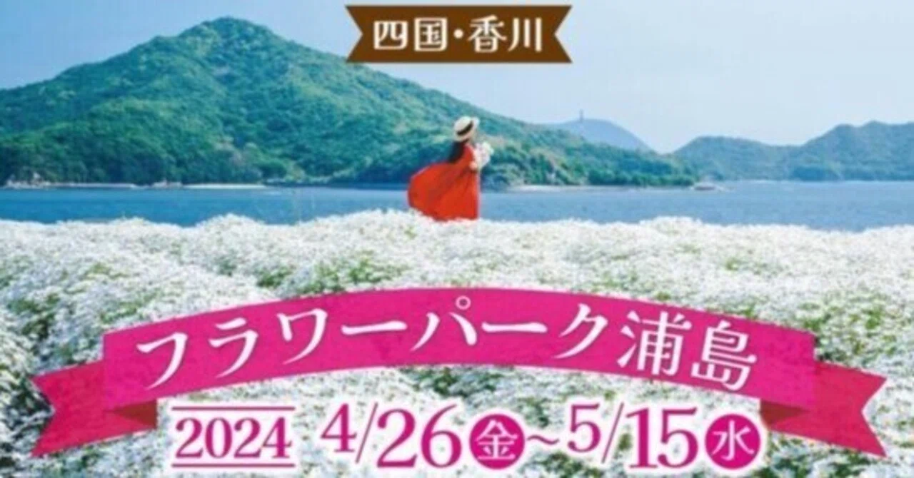 GWはフラワーパーク浦島へ｜真っ白に咲き誇るマーガレット畑を見に 