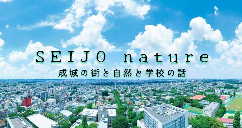 SEIJO natureー成城の街と自然と学校の話ー - 成城学園｜成城