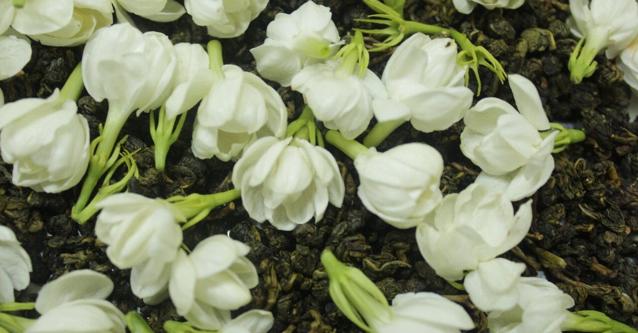ABOUT US | 茶兎茉莉 ChaUsa Jasmin ABOUT US | 茶兎茉莉 ChaUsa Jasmin