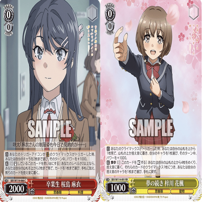 8扉青ブタ｜.EXE