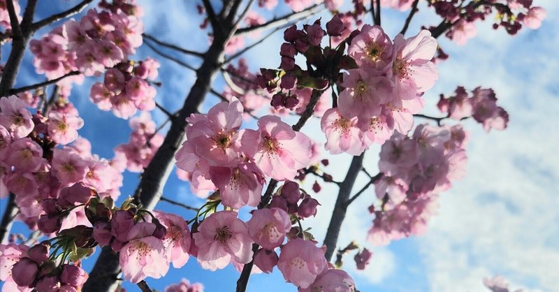 咲くやこの花 〜子安神社〜