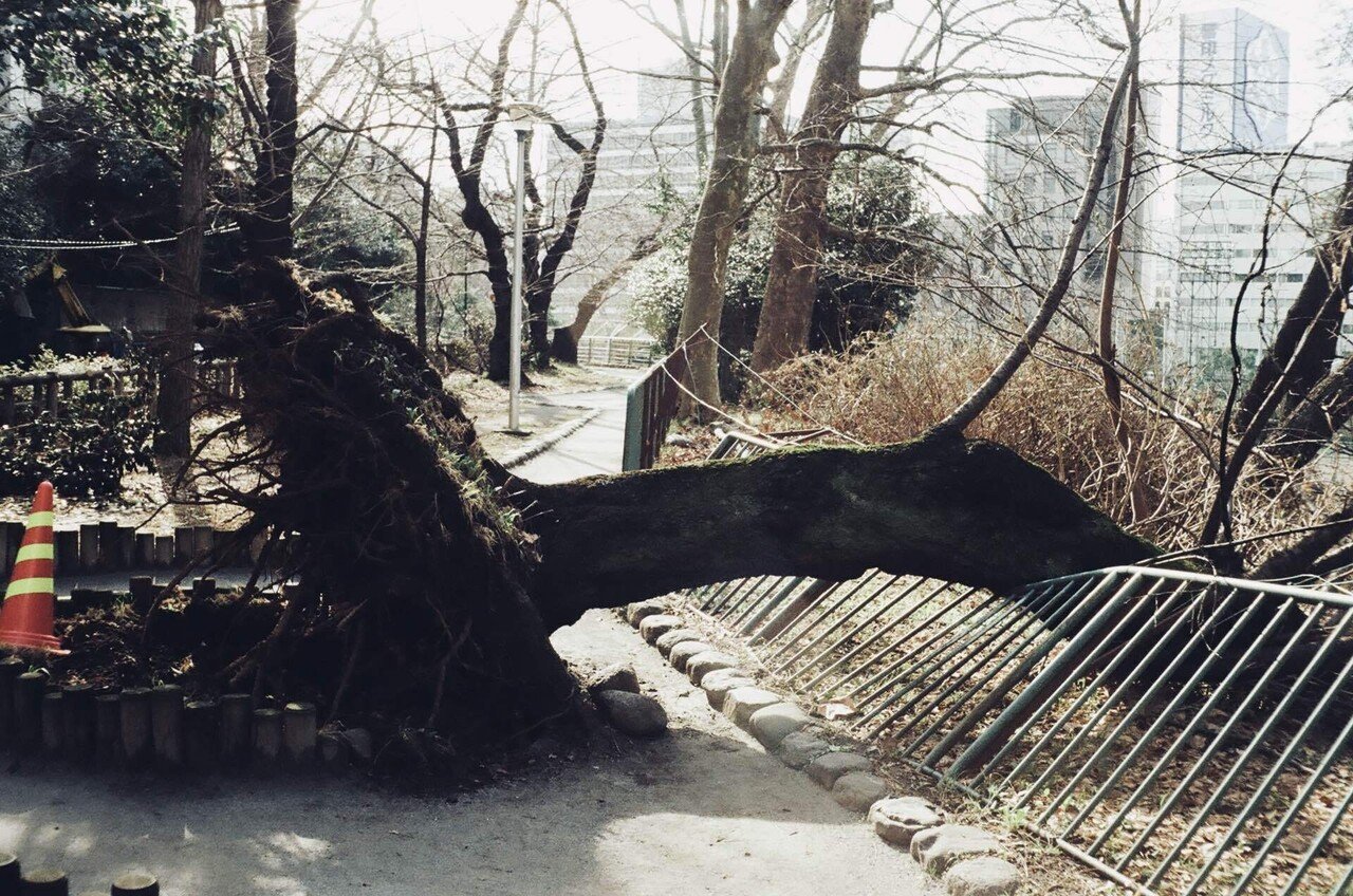 銀塩浪漫02 KONICA EE-MATIC Deluxe✖️街角スナップ｜川村胡桃🫧