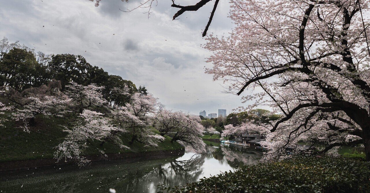 rectangle_large_type_2_f7d0b4a