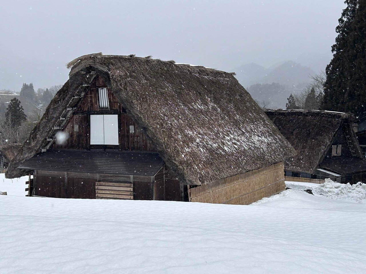 飛騨高山 観光 白川郷｜ホッシー